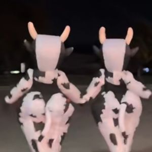 Meet your Posher, Riley